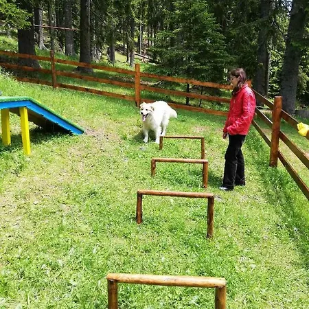 Raikov Ski Private Aparthotel *